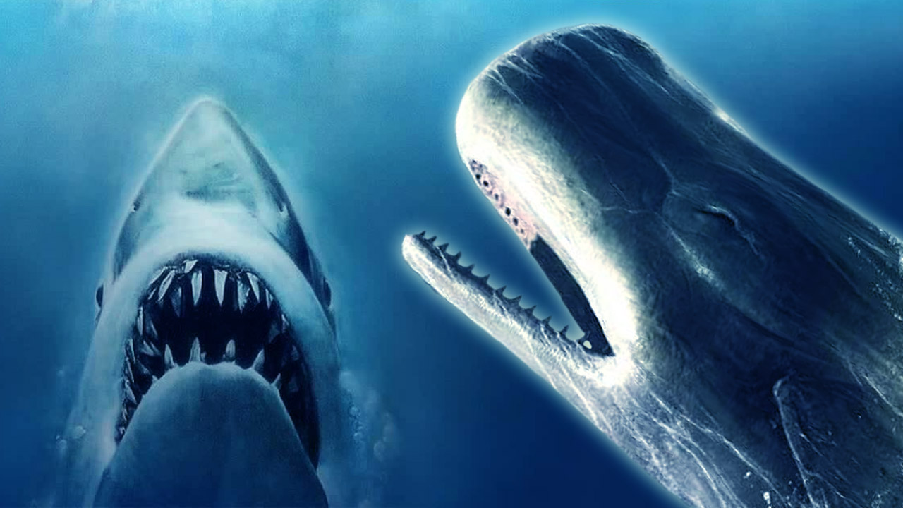 Zählt „Der weiße Hai“ (1975) wirklich zum Horror-Genre?